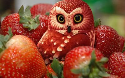 Ik zie, ik zie wat jij niet ziet….