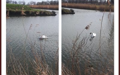 It’s all about perspective!