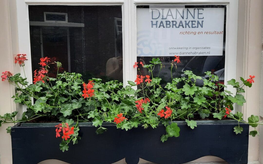 Achter de geraniums…