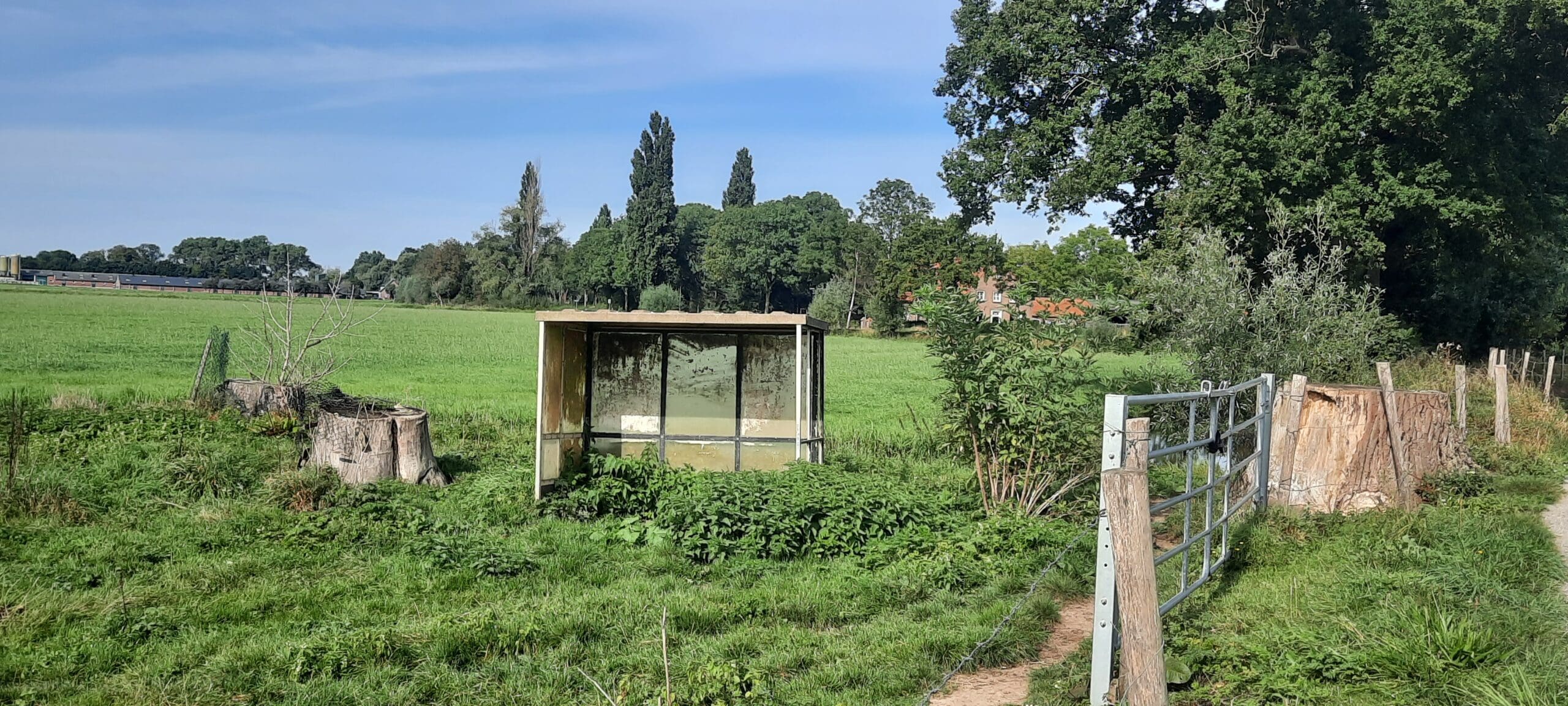 vertrouwen