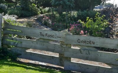 I beg your pardon….