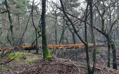 De kracht van een klacht