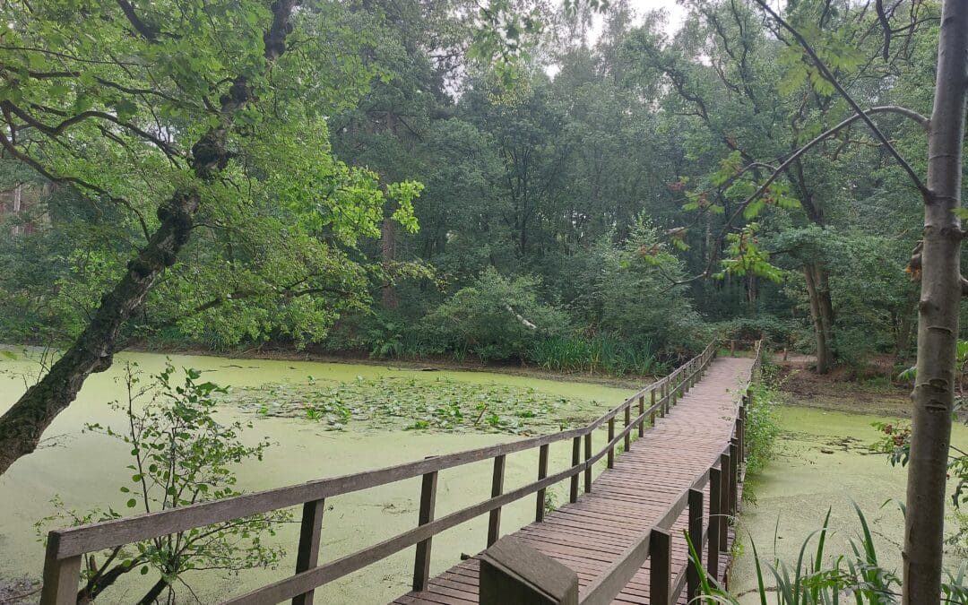 Bridge over troubled water