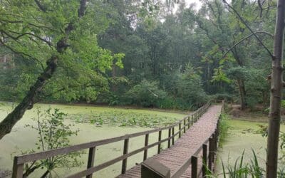 Bridge over troubled water