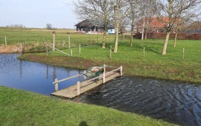 Teambegeleiding is zinvol