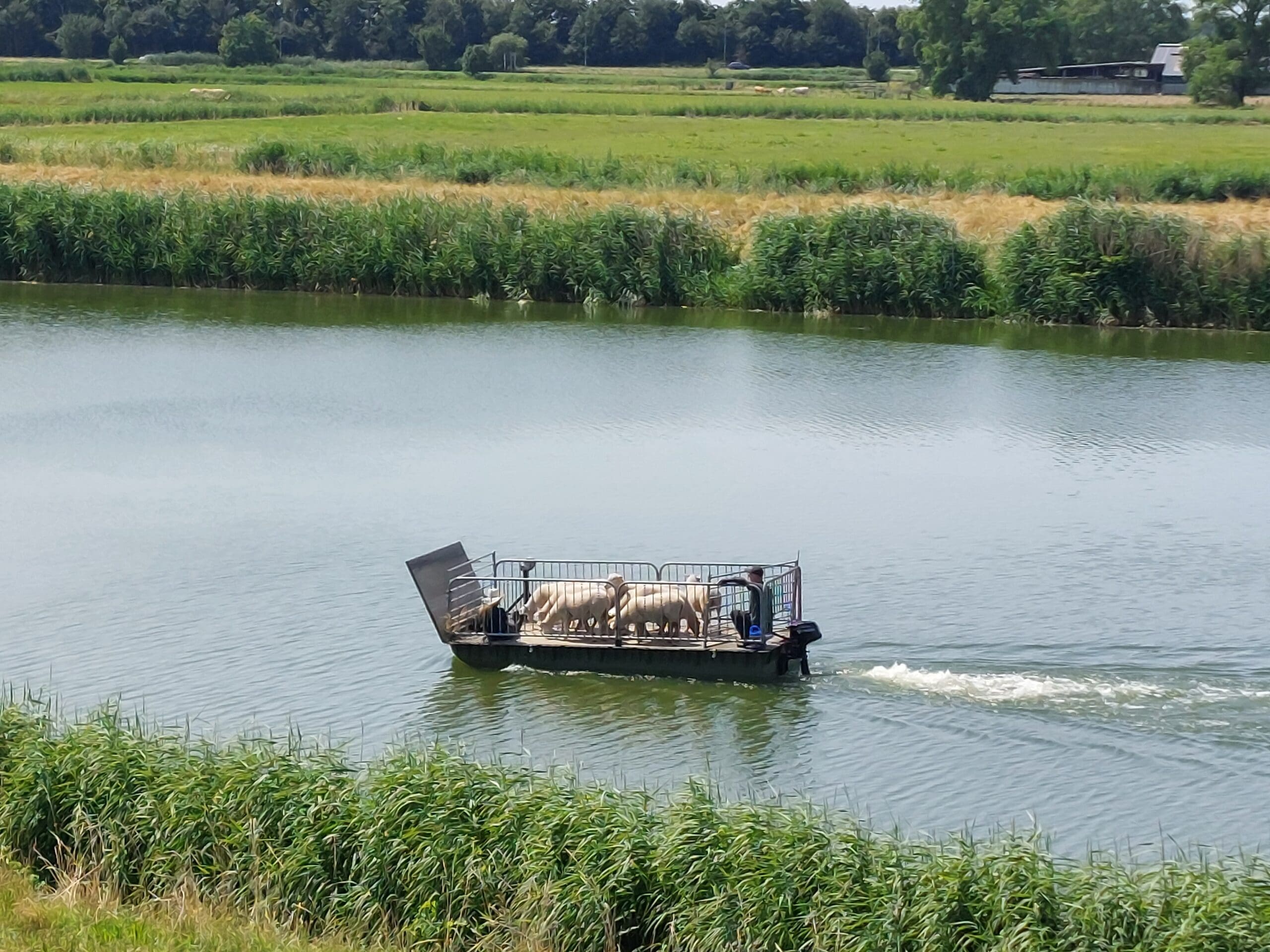 leiderschapsbegeleiding