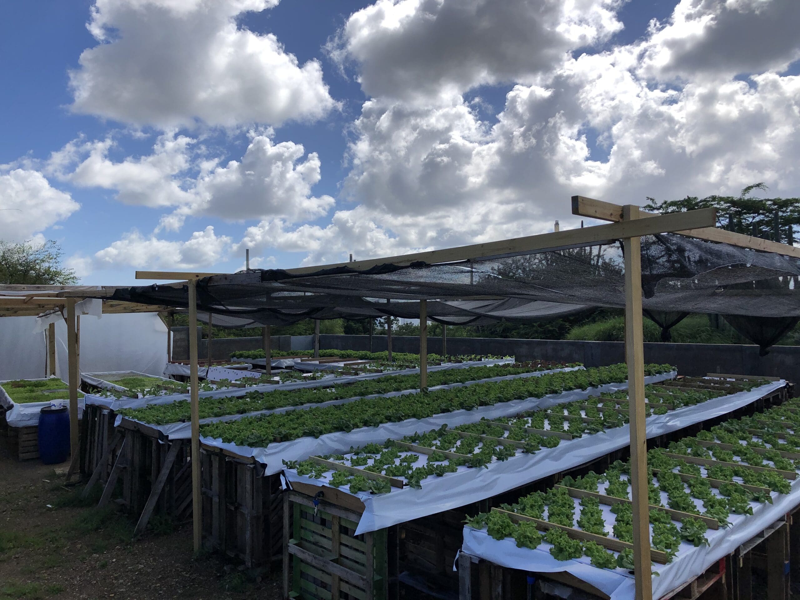 Increasing our resilience by becoming less dependent on import - Image 4