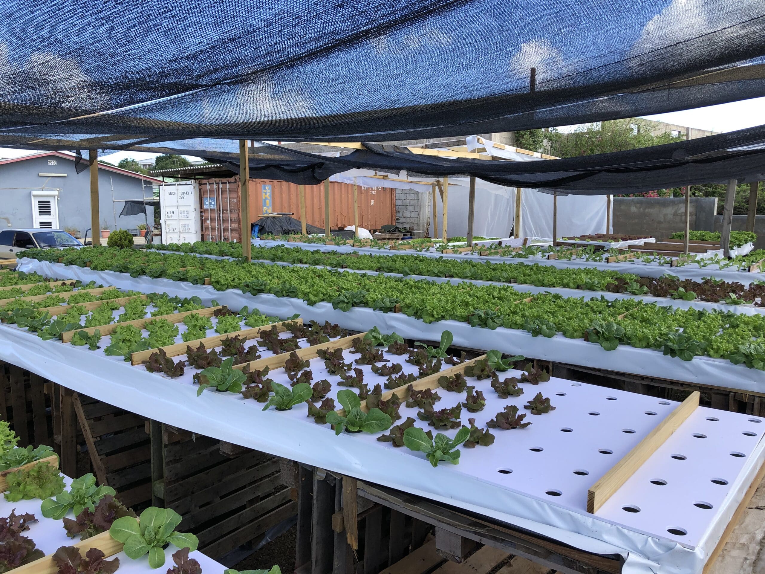 Increasing our resilience by becoming less dependent on import - Image 2