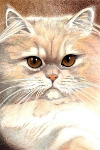 88 Perzian Shaded Cameo 95 ct 1