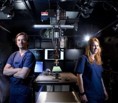 Paraplegic rats walk again after therapy, now we know why