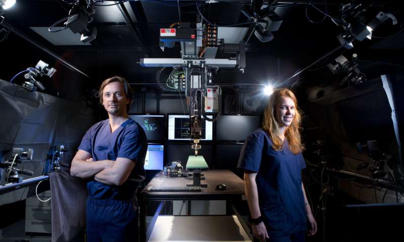 Paraplegic rats walk again after therapy, now we know why