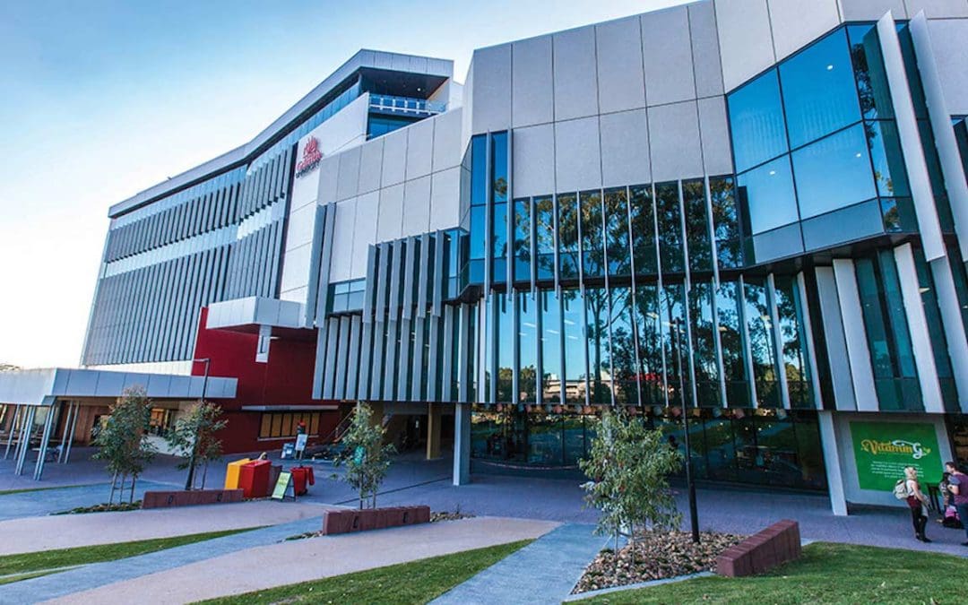 Could nose cells treat spinal cord injuries?