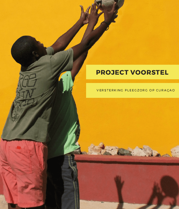 Project Plan Foster Care