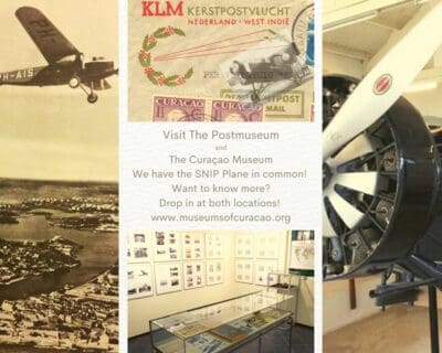 The International Museum Days