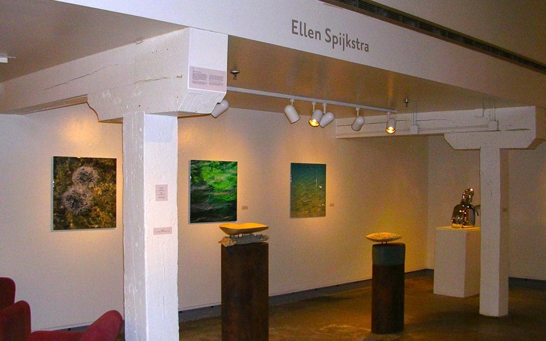 Island Reflections: the Art of Curaçao, DePree Art Center, Holland, Michigan, USA,  2011