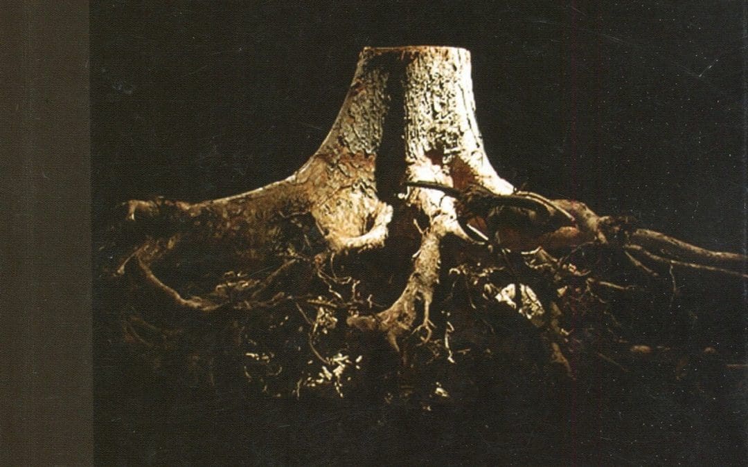 Islas del Caribe: naturaleza-arte-sociedad