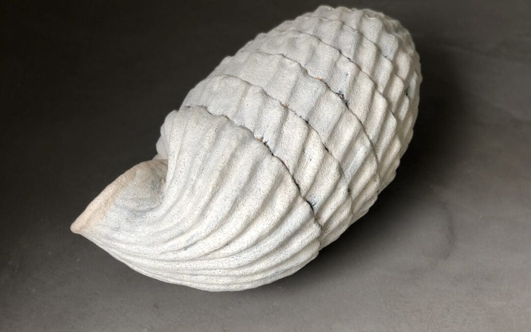 Cocooning April 2020 – March 2022