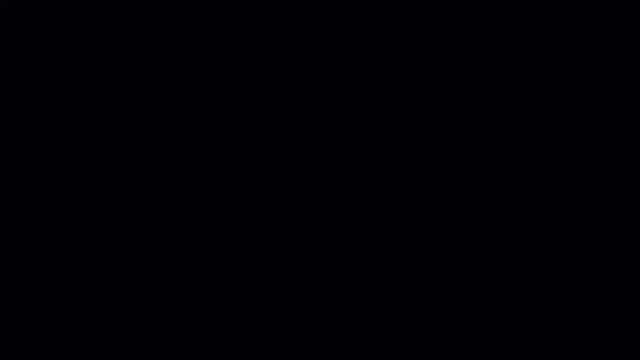 Fundashon Pro Bista