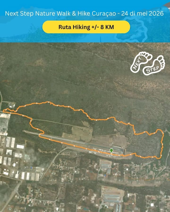 Fundashon Pro Bista
