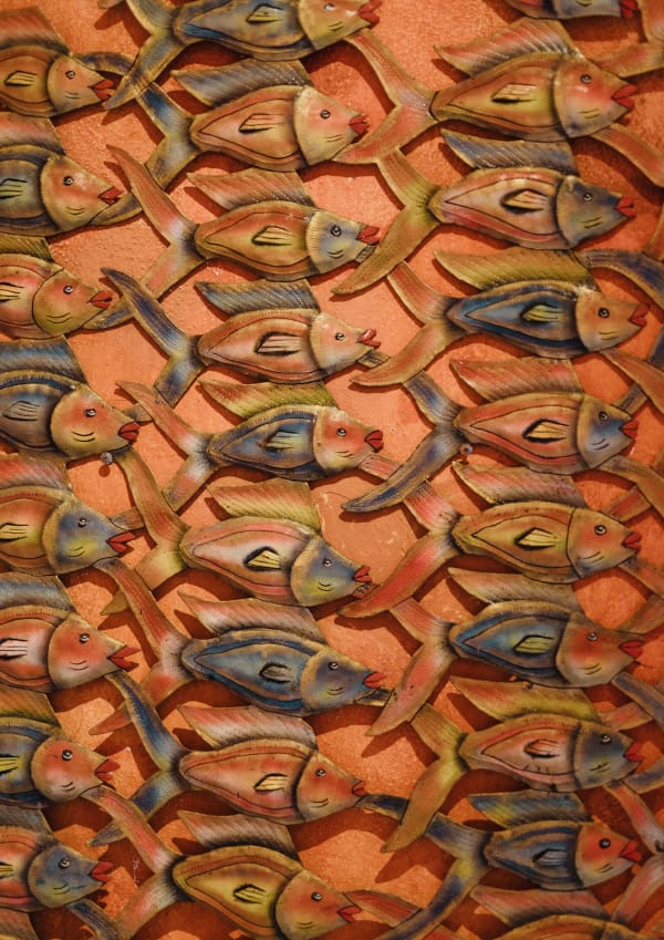 Brakkeput Mei Mei redsnapper