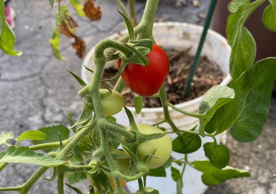 Documentaire omroep Max