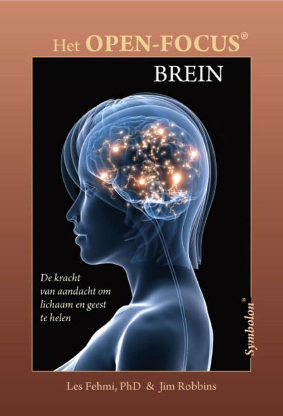 Het open focus Brein