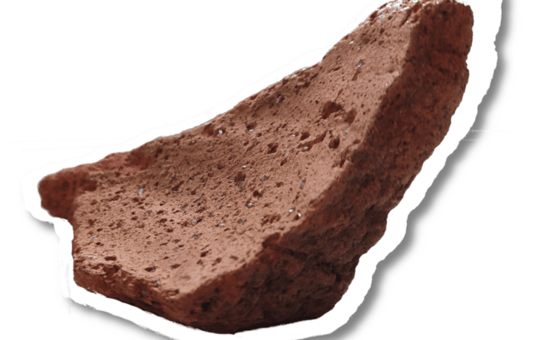 NAAM archaeologists at the 30th Congress of the International Association for Caribbean Archaeology